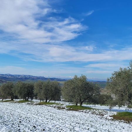 Dimora In Francigena Hotel ซันกีรีโกดอร์เชีย ภายนอก รูปภาพ