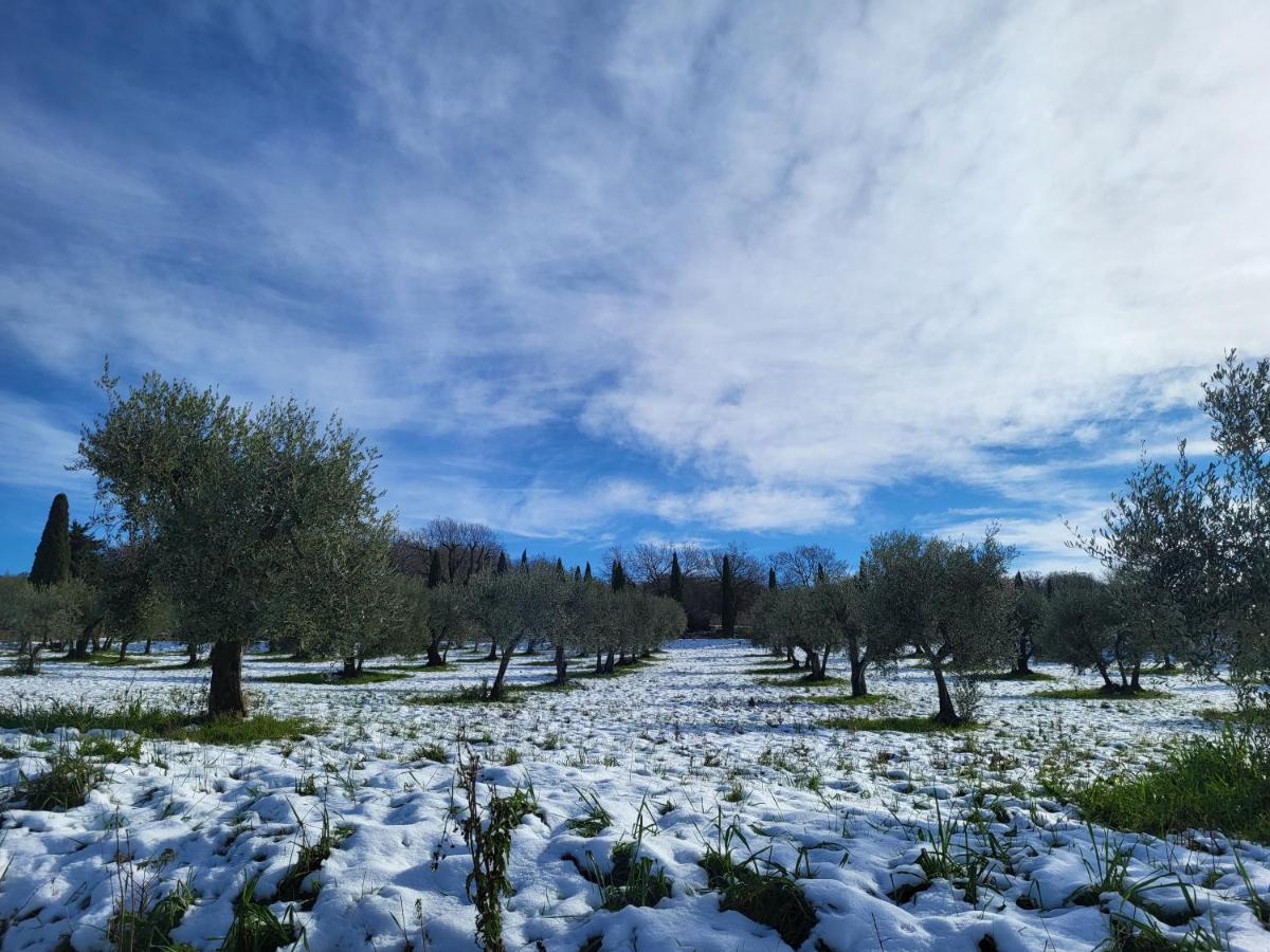 Dimora In Francigena Hotel ซันกีรีโกดอร์เชีย ภายนอก รูปภาพ